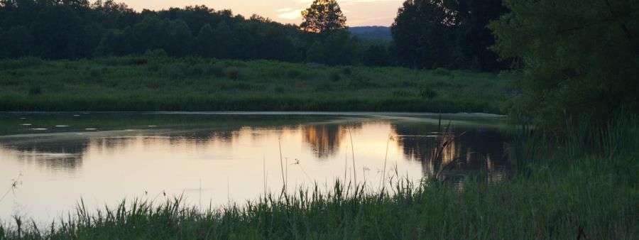 Get Your Butt Kicked @ Route 66