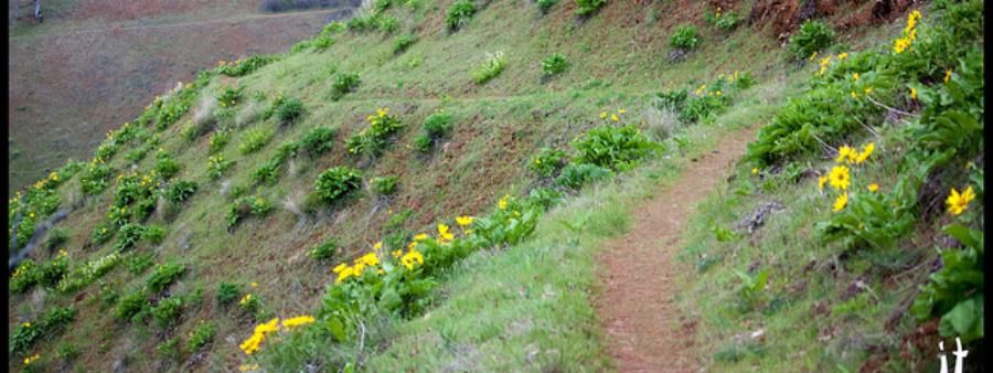 SW Fire on the Mountain