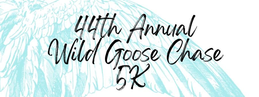 Wilbur Wild Goose Chase