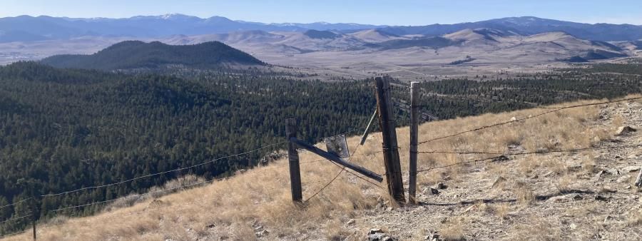 Swift Foot Trail Runs