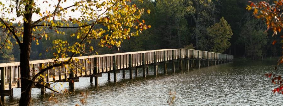 Long Hunter Trail Runs