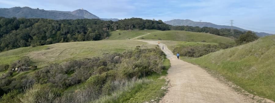 13 Mile Trail Race Top Down