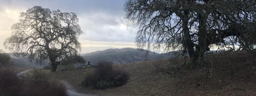 Rancho Hills Trail Run - Summer