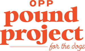 1st Annual Tails & Trails 5k Fun Run