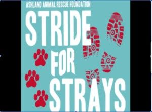 Stride for Strays