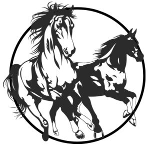 The Currituck Salt & Sound 10k, 5k and 1-Miler