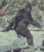 Bigfoot 5K 2026