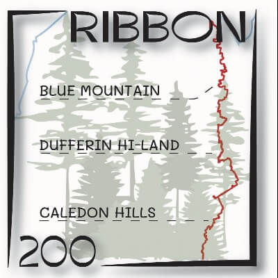 The Ribbon 200