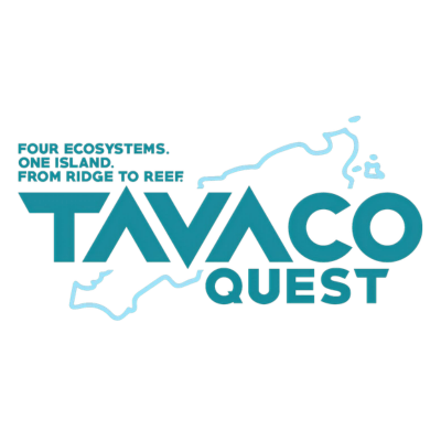 TAVACO QUEST VIRTUAL RACE SERIES