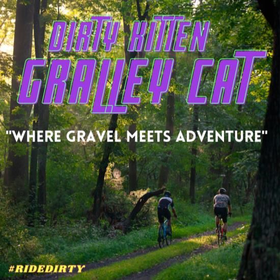 Dirty Kitten Gralley Cat 2026