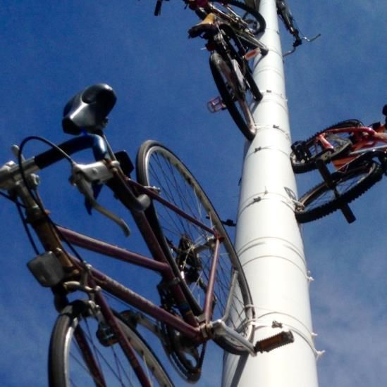 Rotary Gold Country Challenge