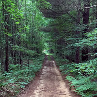 Michigan's Coast to Coast Gravel Grinder 204-Miler & Coast Loop 100-Miler