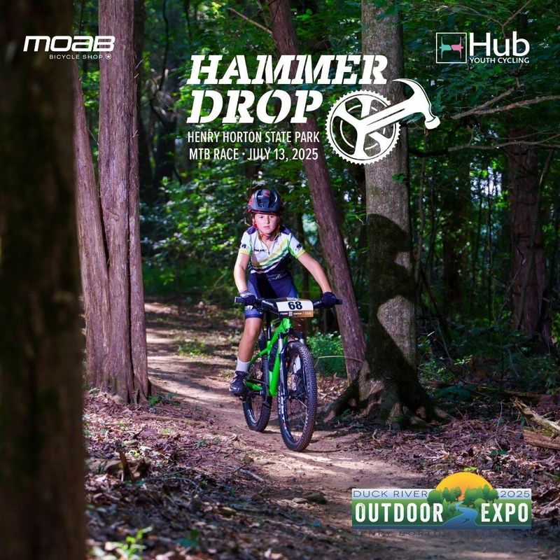 Hammer Drop Henry Horton