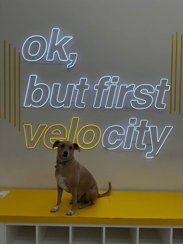 Aula de Bike Empatatia + Velocity