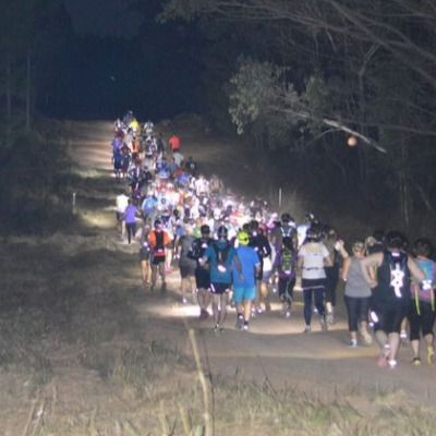 Wild Horse @ Night - 2026