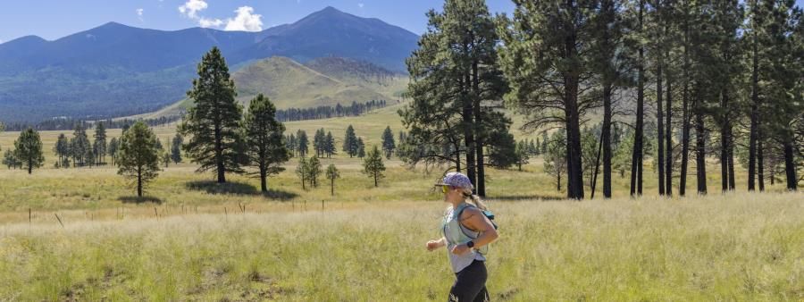 Flagstaff to Grand Canyon Stagecoach Line Ultra