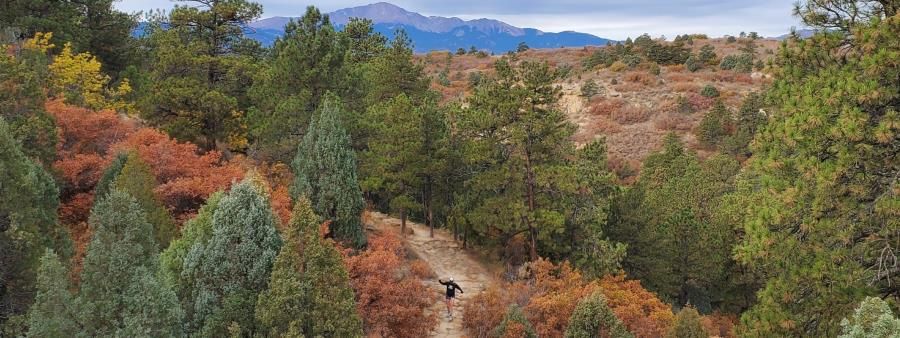 Bobcat Trail Race