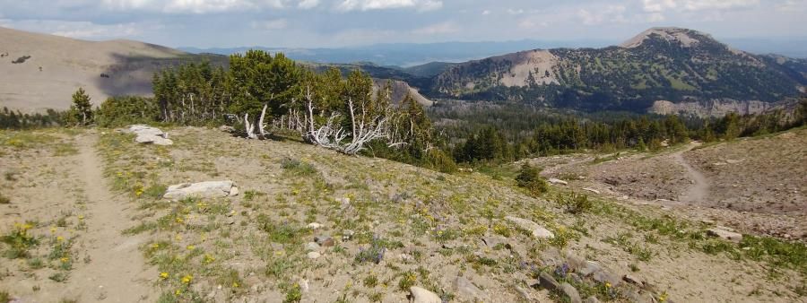 CWES - Targhee Divide Loop