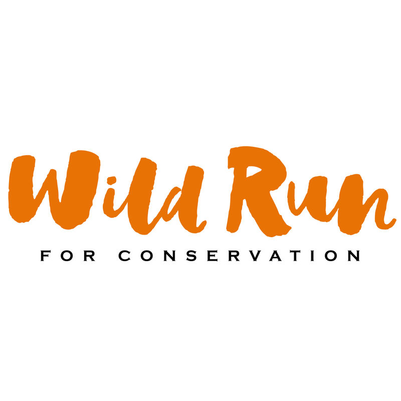 The Wild Run 2024