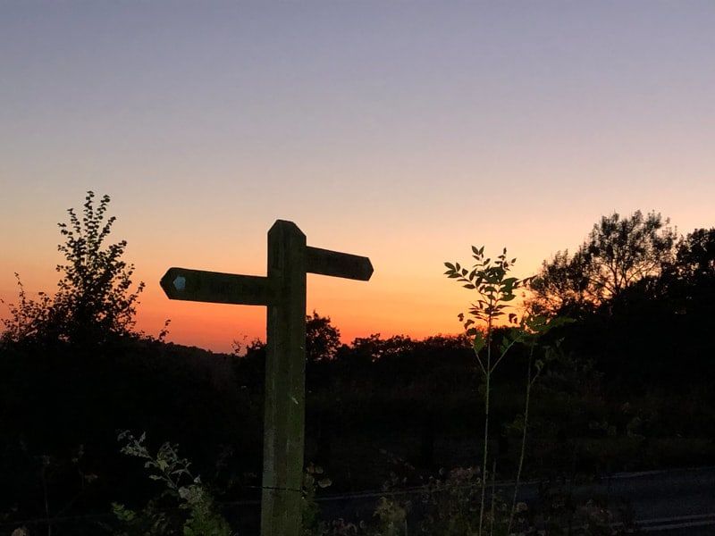 Surrey Hills Evening Hike - November