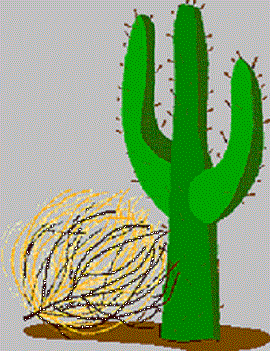 MCHS Foundation Tumbleweed Triathlon 2024