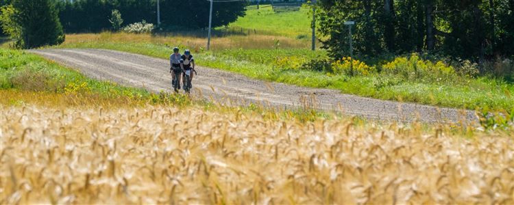 GBC 500 presented by Argon 18