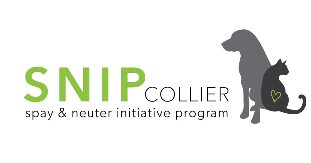 Snip Collier 5K