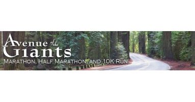 2024 Avenue of the Giants Marathon