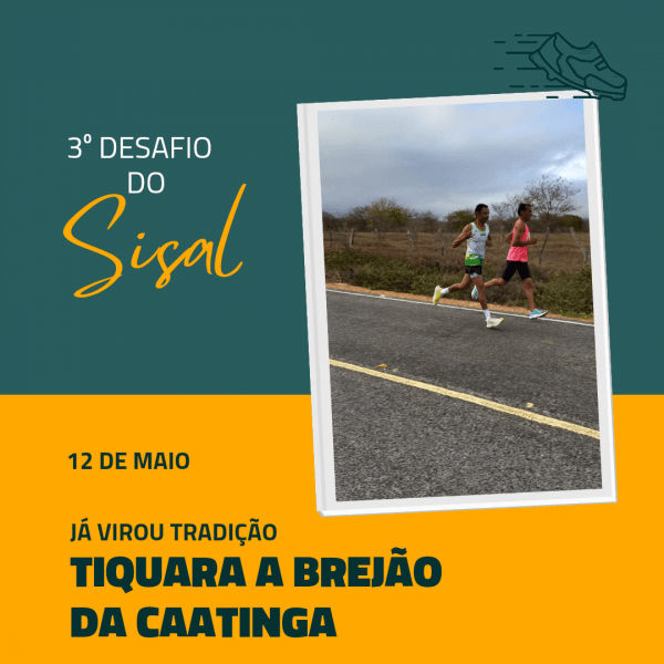 Desafio do Sisal