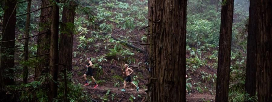 Oakland Hills Trail Run