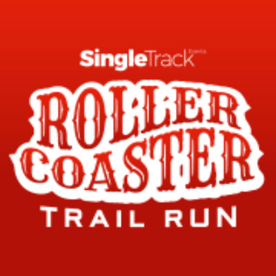 Roller Coaster Run 2024