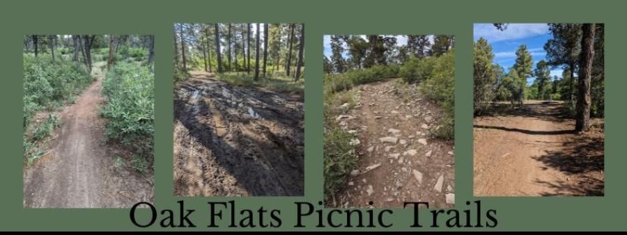 Oak Flats Trail Running Event