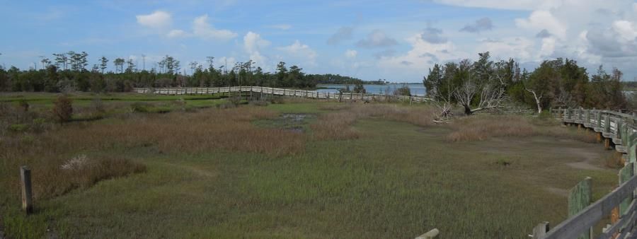 Tideland 24
