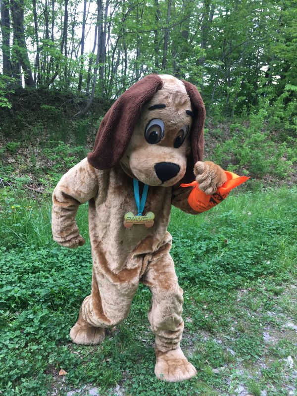 Paces for PAWS 2024