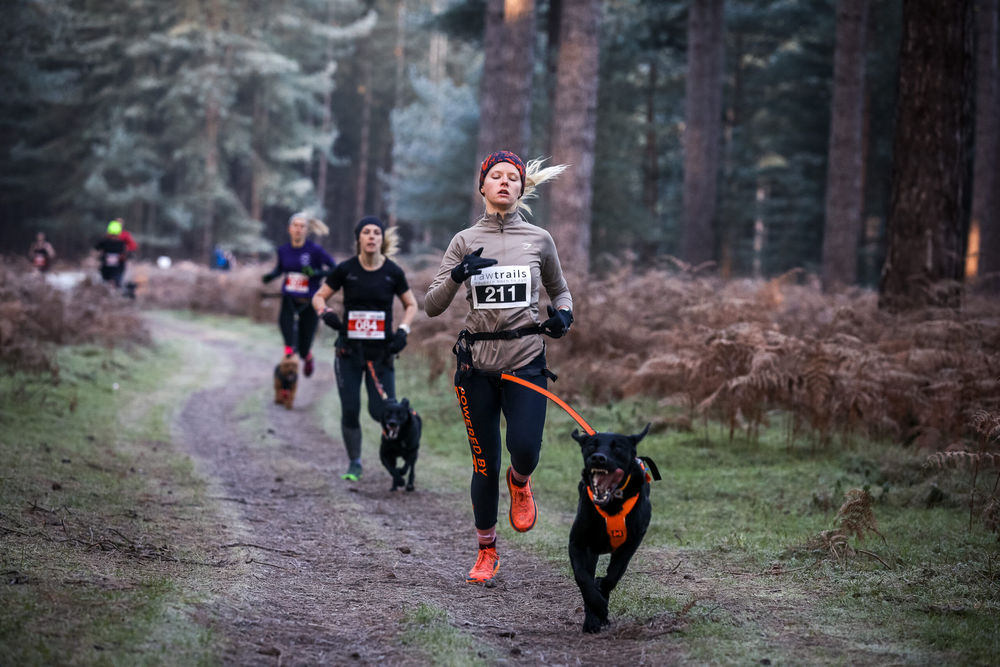 High Lodge Canicross 5k Series - Race 3