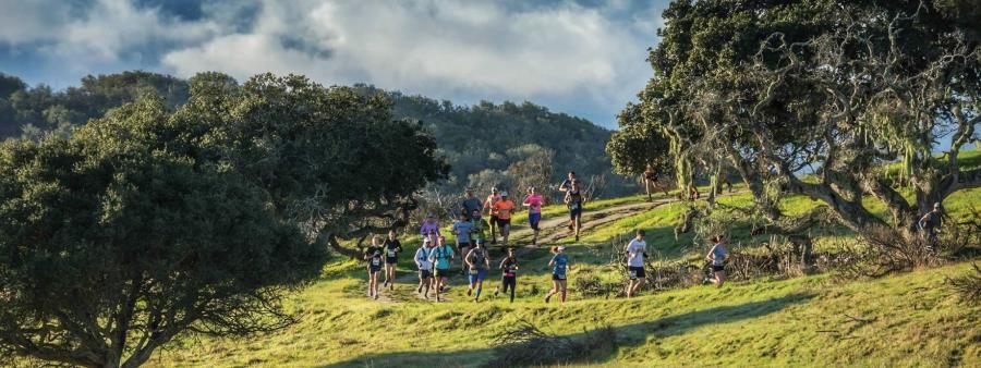 Golden State 50K/35K/Half Marathon/10K