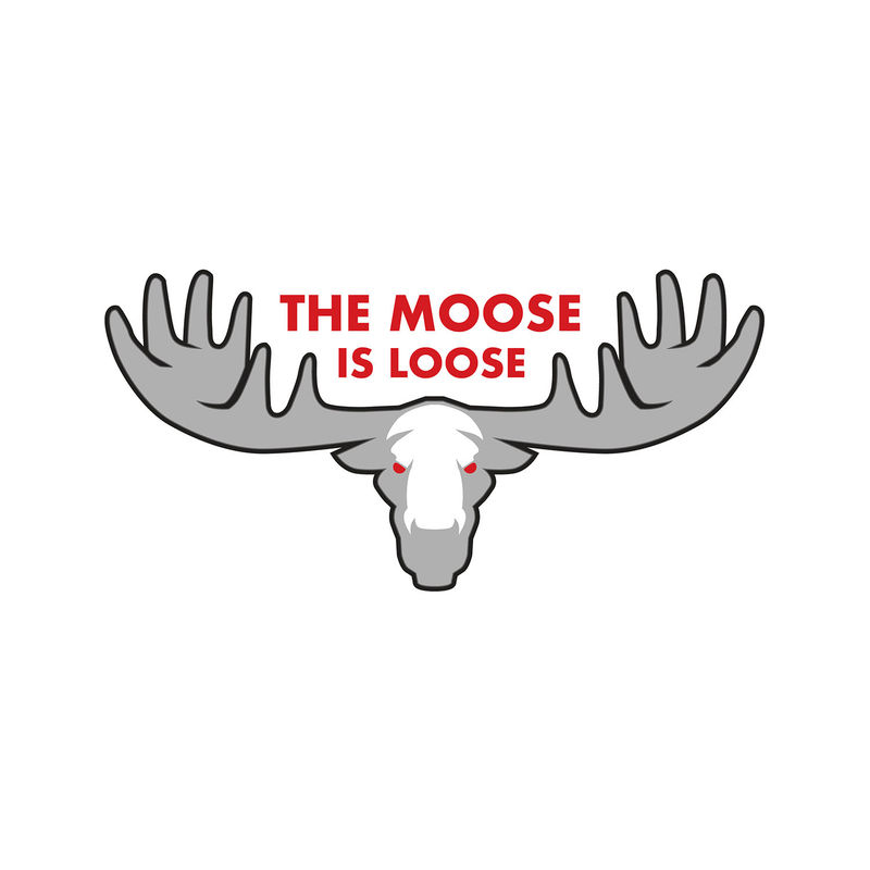 Moose Is Loose