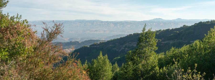Mt. Umunhum Trail Conquest-Winter