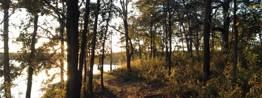 Royal Oaks Sunrise Trail Race