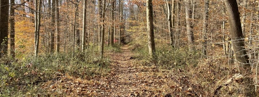 BRRC Big Gunpowder Trail Race