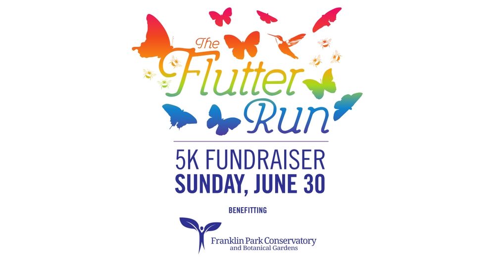 The Flutter Run