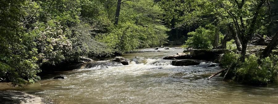 Cartecay River Run