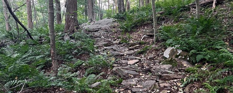 YC Monthly - August - Bike The Wilds - Yellow Creek SP