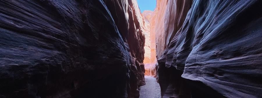 Mountain Sheep Canyon Run