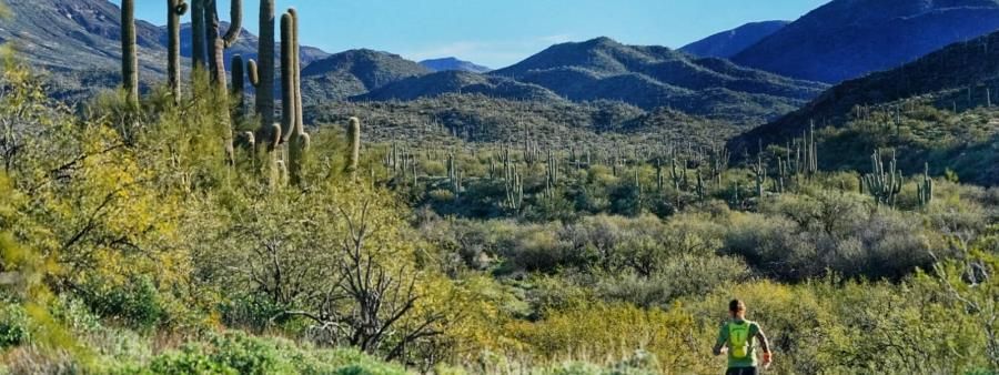 Elephant Mountain Trail Race