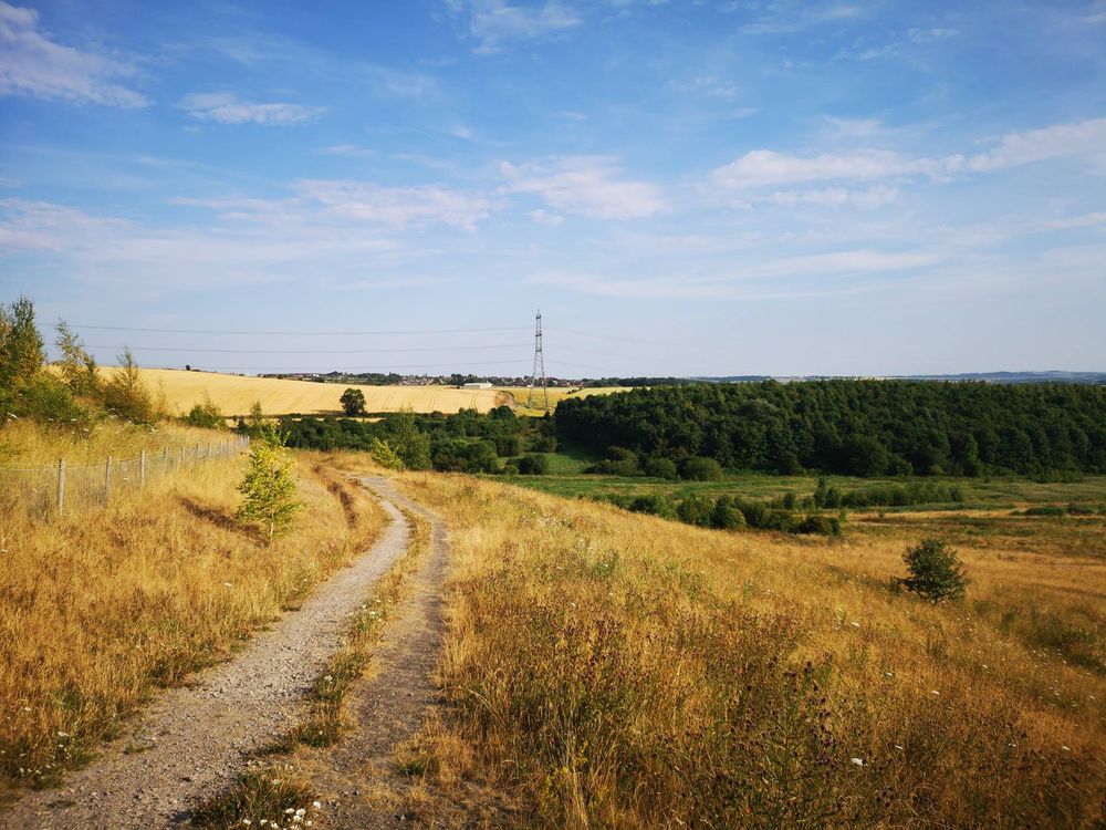 Carry On in the Colliery and 5 Mile Canine Canter