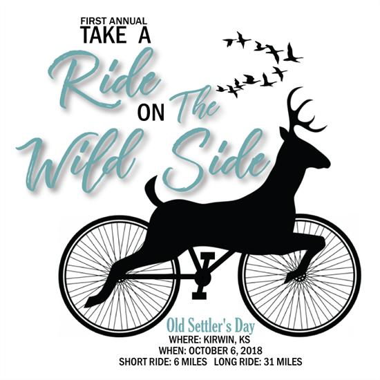 Take a Ride on the Wild Side