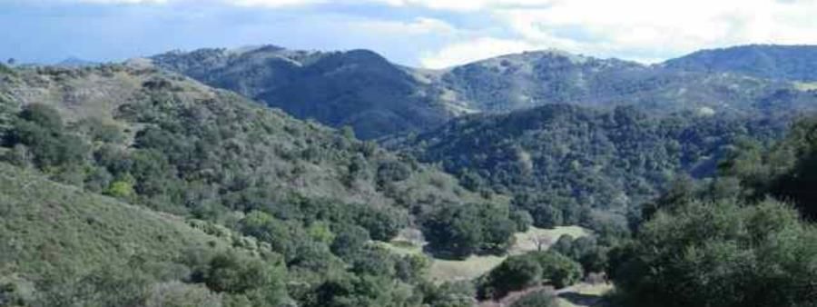 Calero Hills Trail Fest