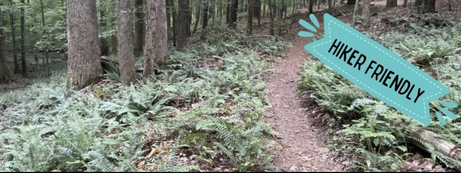 Women's Trail Festival