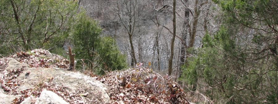 Otter Creek Trail Run